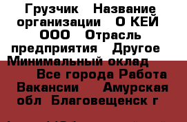 Грузчик › Название организации ­ О’КЕЙ, ООО › Отрасль предприятия ­ Другое › Минимальный оклад ­ 25 533 - Все города Работа » Вакансии   . Амурская обл.,Благовещенск г.